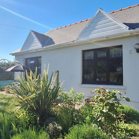 Y Cuddfan Gower Bed and Breakfast Swansea Eksteriør billede