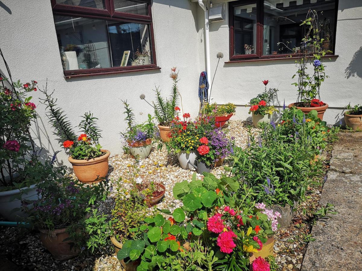 Y Cuddfan Gower Bed and Breakfast Swansea Eksteriør billede