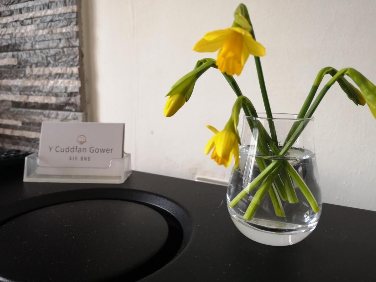 Y Cuddfan Gower Bed and Breakfast Swansea Eksteriør billede